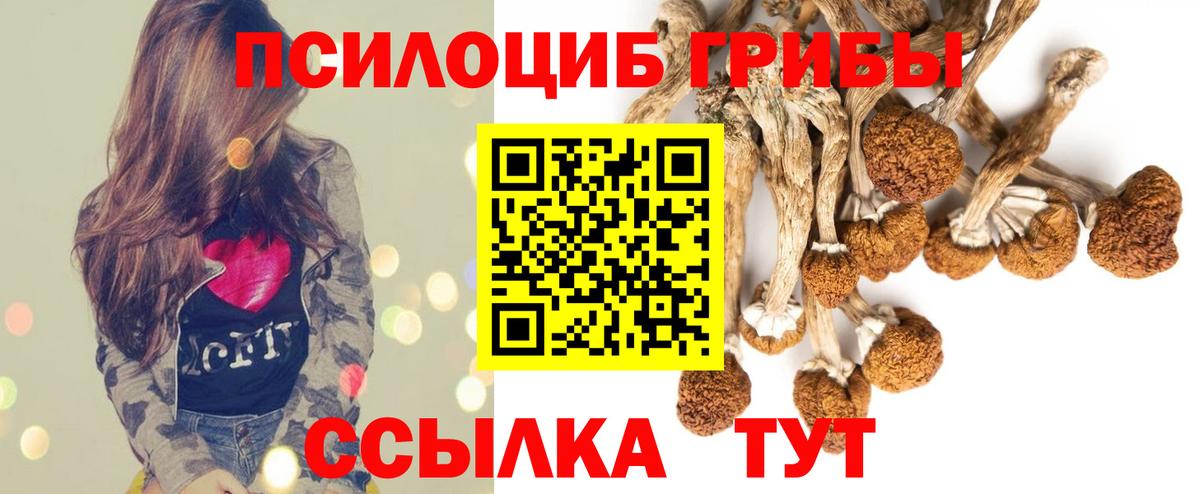 Псилоцибиновые грибы MAGIC MUSHROOMS Дедовск