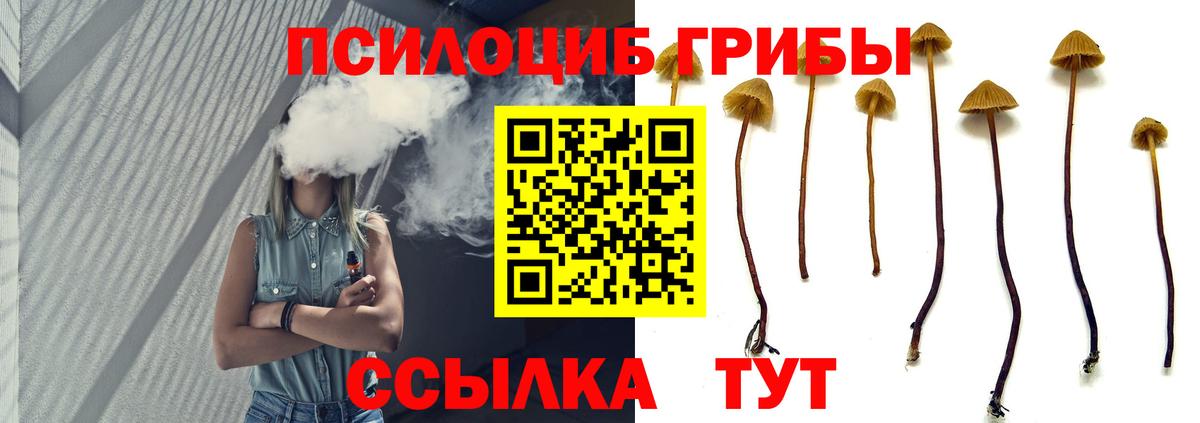 Галлюциногенные грибы Psilocybe  Псилоцибиновые грибы MAGIC MUSHROOMS  Вход с VPN  Дедовск 